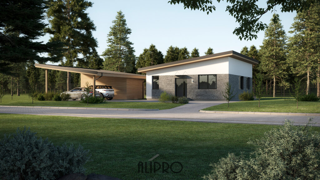 TIPINIS 010T