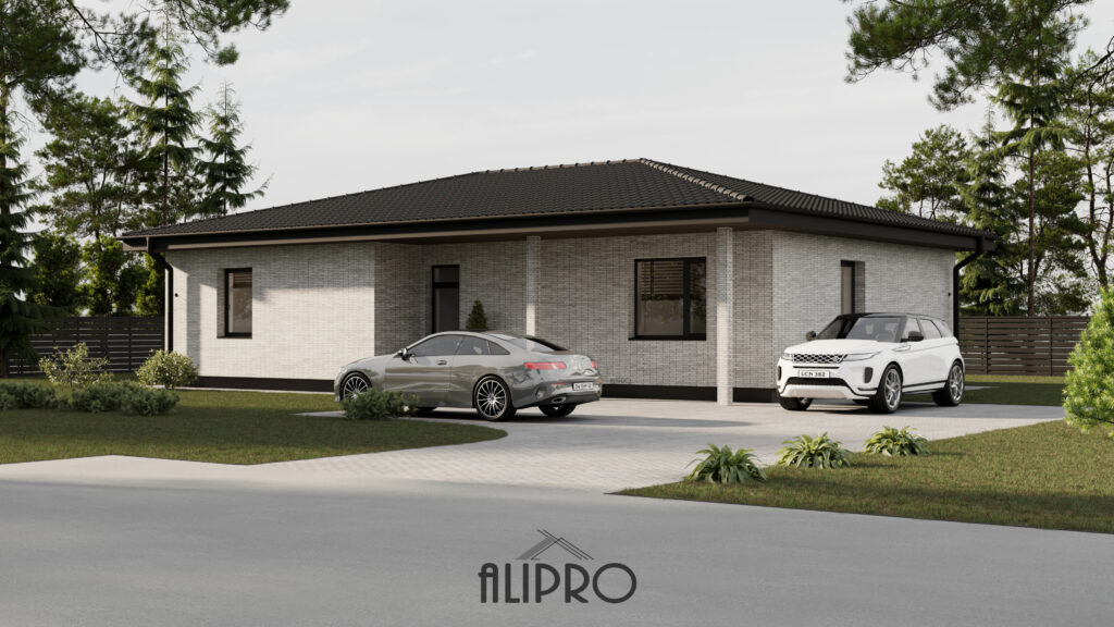 TIPINIS 003T