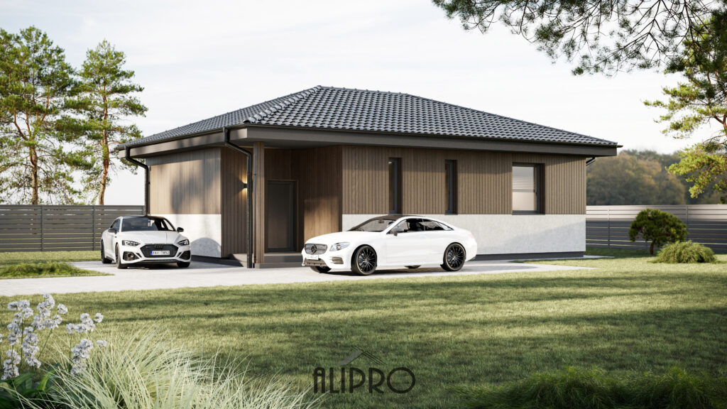 TIPINIS 008T