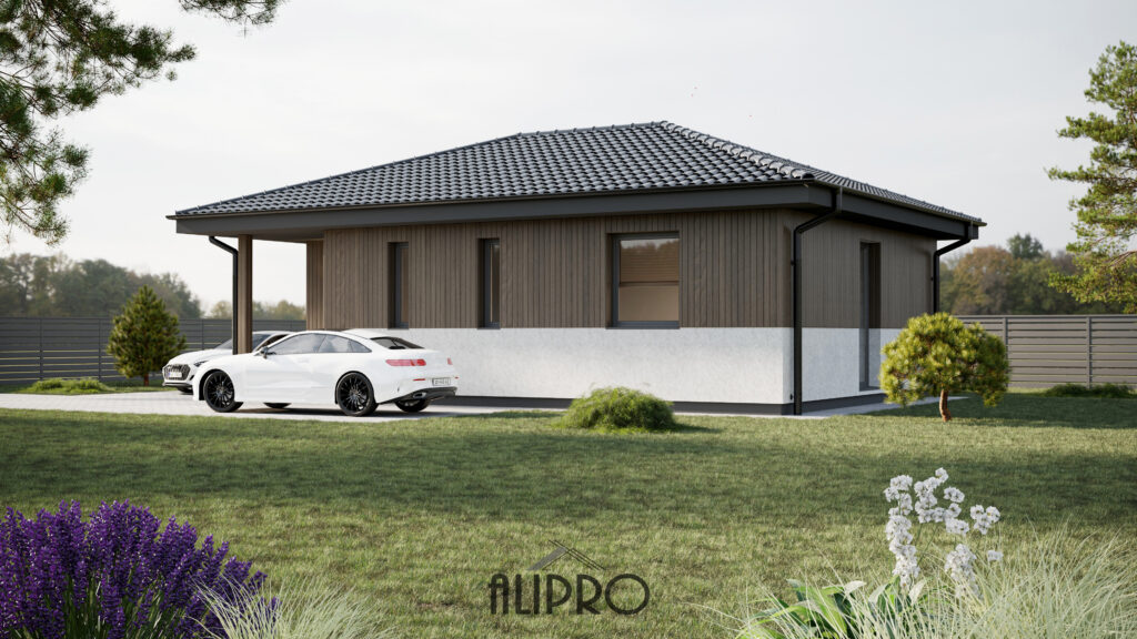 TIPINIS 008T
