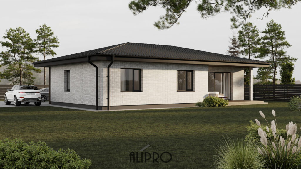 TIPINIS 003T